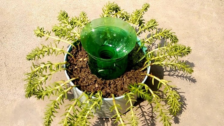Self watering system for plants | Self watering pot for plants
