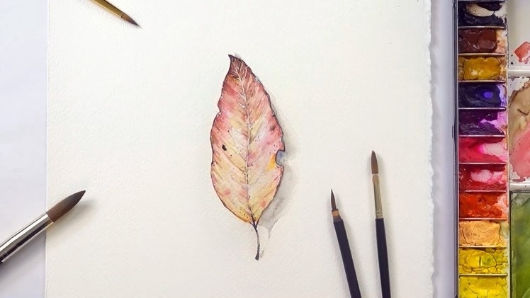 #270 How to Paint an Autumn Leaf in Watercolor  - Jay Lee