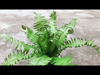 ABC TV | How To Make Paper Tree Fern - Craft Tutorial