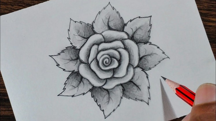 How to draw a Rose step by step