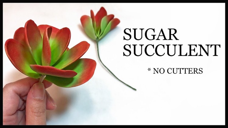 How to Make a Sugar Succulent : Easy NO CUTTERS Gumpaste Tutorial