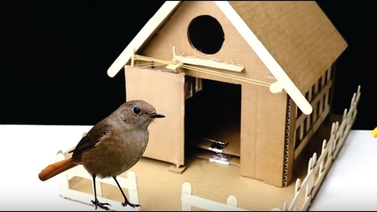How to Make Bird Trap House Technology