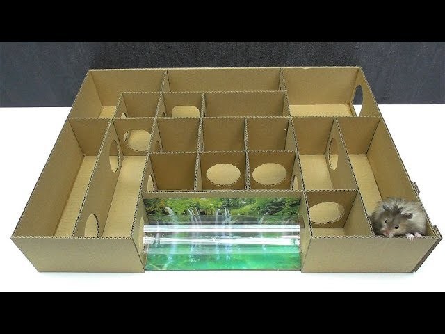 hamster maze pattern hamster maze pattern