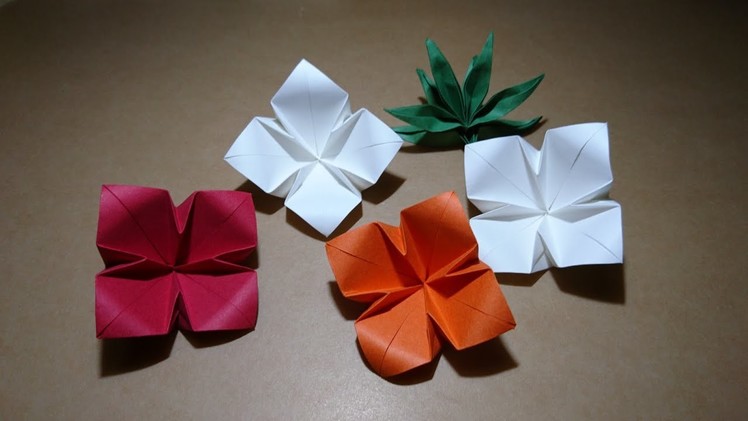 Origami 4-petal Flower 折纸四瓣花