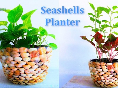 Seashells Planter | Flower Pot Making With Seashells | Best Planter Ideas.GREEN PLANTS