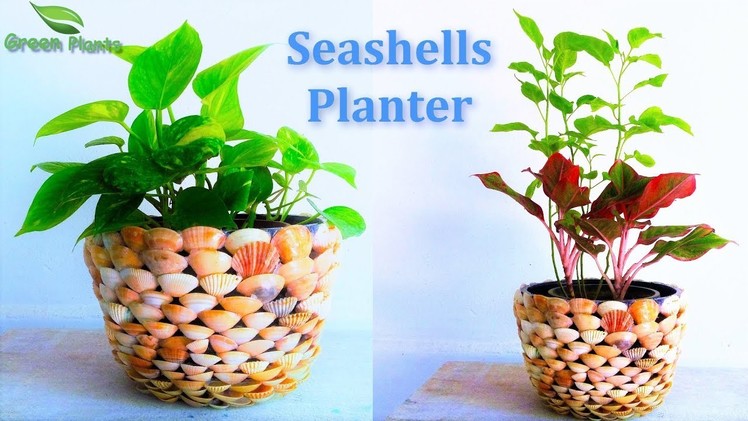 Seashells Planter | Flower Pot Making With Seashells | Best Planter Ideas.GREEN PLANTS