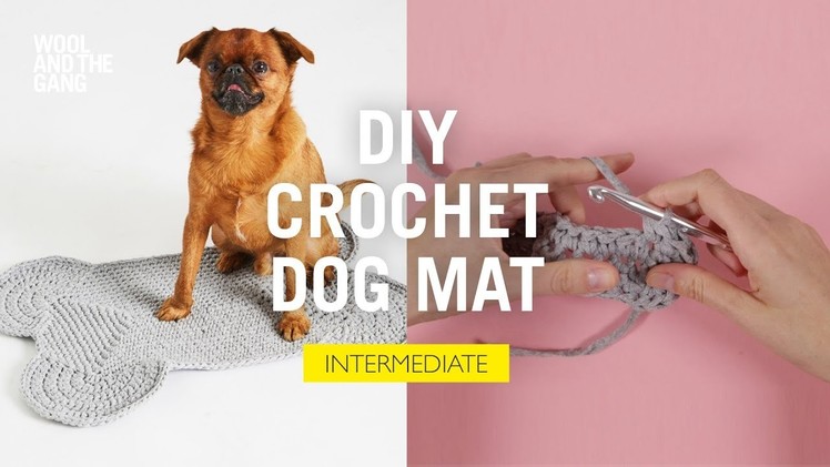 How to Crochet: DIY Dog Mat (Free Pattern)