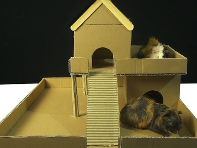 How to Make Popsicle Stick and cardboard House for Rats and Hemsters