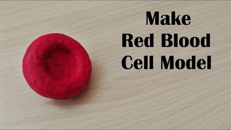 How to make Red Blood Cell Model | 3d thermocol.Styrofoam carving