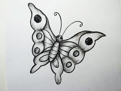 How to Draw A Butterfly || Charcoal Drawing and Shading