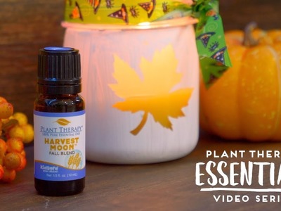 DIY Festive Fall Essential Oils Candle | Plant Therapy Essentials
