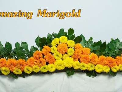 Amazing Marigold Flower Arrangement beautiful ,DIY flower |Eps 178