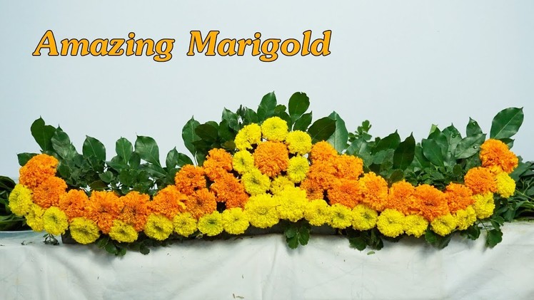 Amazing Marigold Flower Arrangement beautiful ,DIY flower |Eps 178