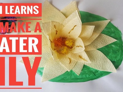 Arts and Crafts Lesson -   How to Make a Water Lily DIY for Children