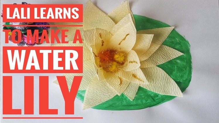 Arts and Crafts Lesson -   How to Make a Water Lily DIY for Children