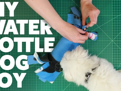 DIY Water Bottle Dog Toy | #DIYWednesday | Rover.com