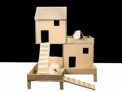 How to Build Guinea Pig House Diy From Cardboard, Easy Crafts DIY