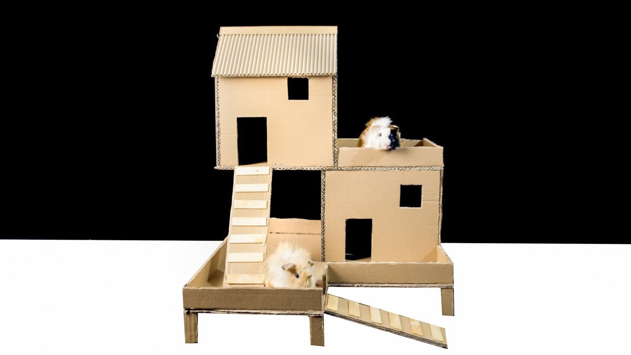 How to Build Guinea Pig House Diy From Cardboard, Easy Crafts DIY