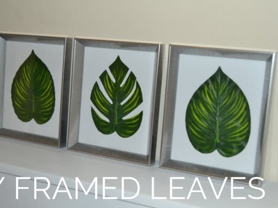 DIY framed plants to spruce up any space
