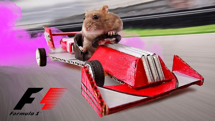 DIY Making F1 Racing Car From Cardboard And DC Motor For Cute Hamster