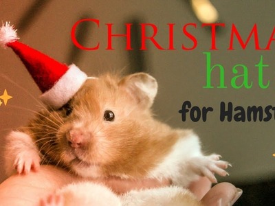 DIY Christmas hat for hamster