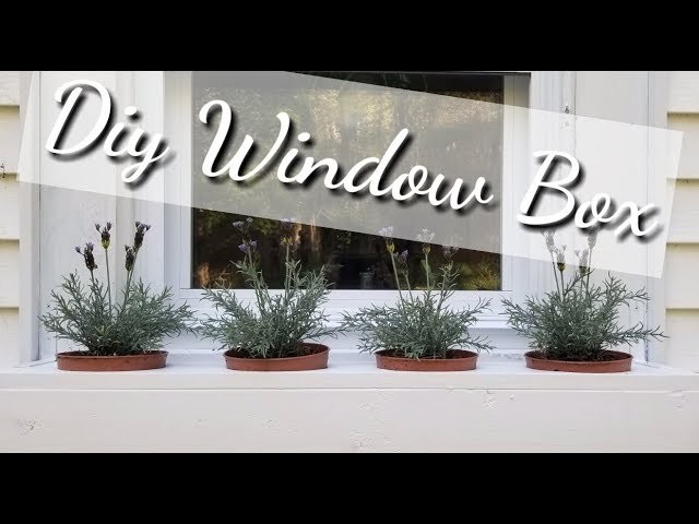 Easy Window Box DIY