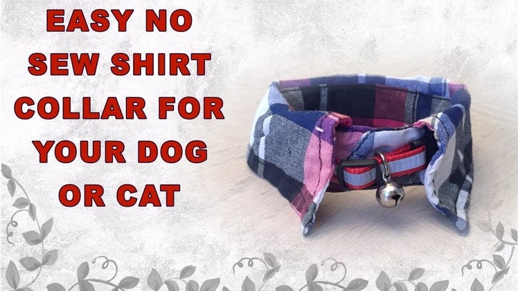 VERY EASY NO SEW DIY DOG.CAT SHIRT COLLAR