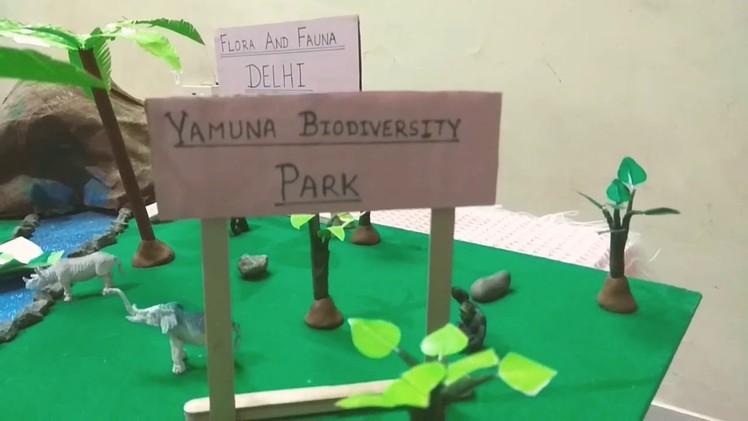 Flora and fauna in delhi 3d model school project