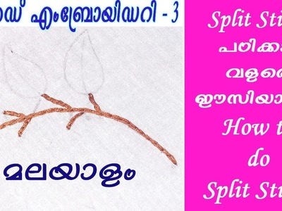 Hand Embroidery Lesson 3 - How to do Split Stitch - Malayalam - EHW 3