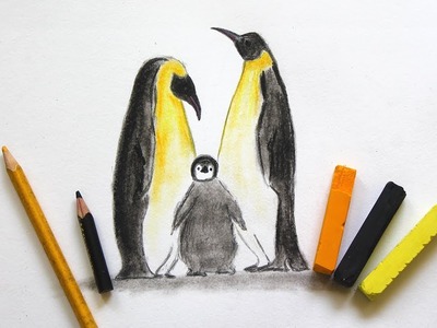 How To Draw A Realistic Penguin Family | Easy Art For Beginners