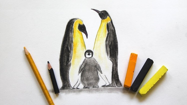 How To Draw A Realistic Penguin Family | Easy Art For Beginners