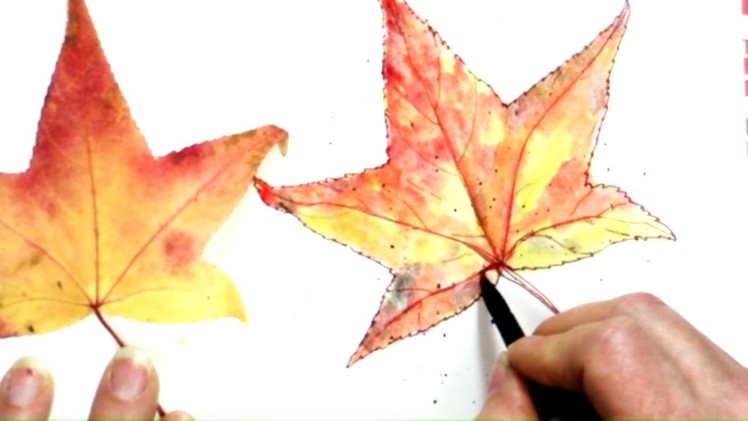 Quick & Easy Inktense Fall Maple Leaf! How to draw & Paint Free Lesson
