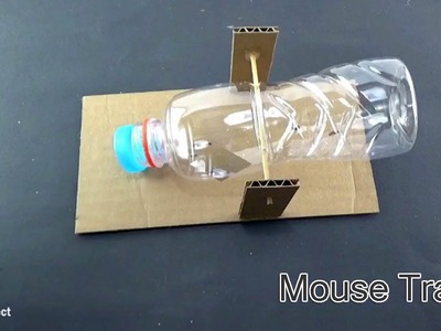 DIY Bottle Mouse Trap