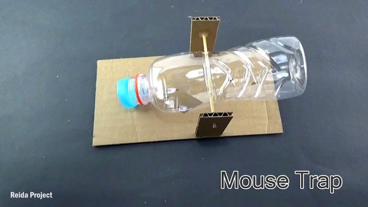 DIY Bottle Mouse Trap