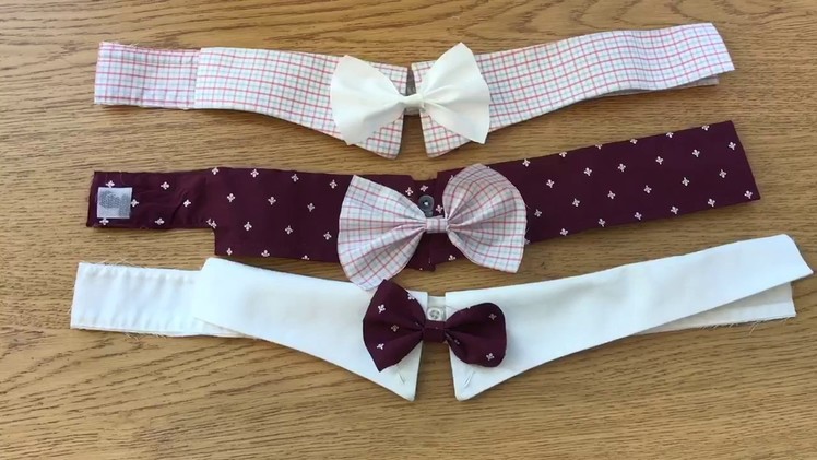 ENG H DIY Project: Dog Collar and Bowtie