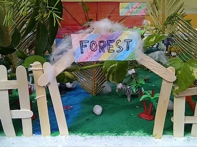 Forest Chart.Model.Project For School