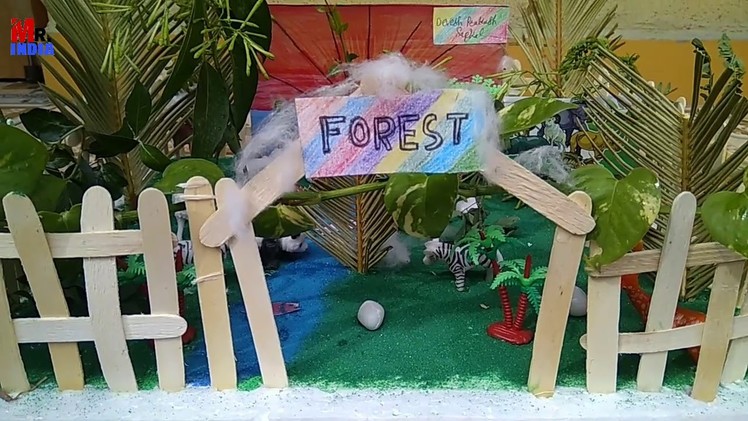 Forest Chart.Model.Project For School