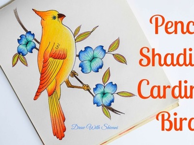 How to draw Cardinal bird. Pencil Color Shading Yellow Bird with Flowers