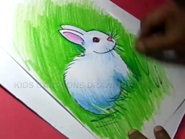 How to Draw Rabbit Drawing Step by Step for Kids