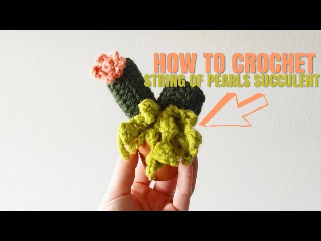 Crochet Cacti Mini Series: String of Pearls Succulent