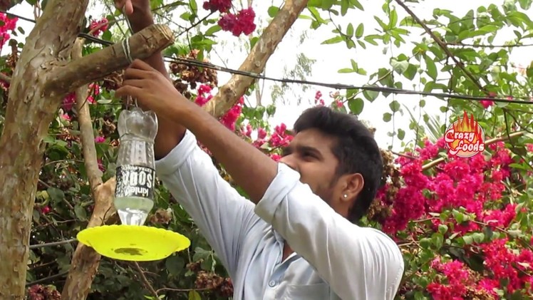 How To Make A Bird Water Feeder | ChaliVendram | Crazy Crafts