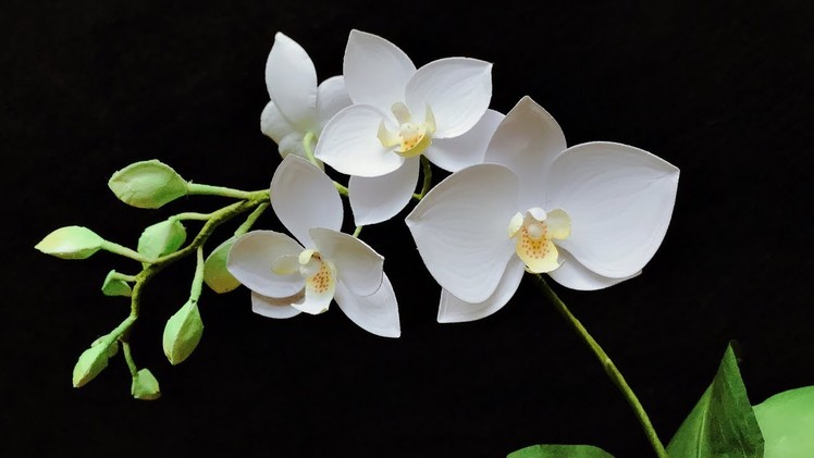 ABC TV | How To Make Phalaenopsis Orchid Paper Flower | Flower Die Cuts - Craft Tutorial