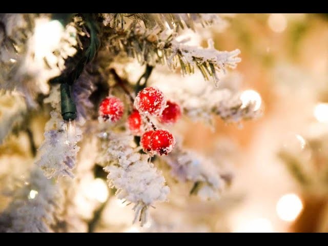 Frosted Christmas Holly Berries. How To Make Picks. DIY. Diana Veronica DIY