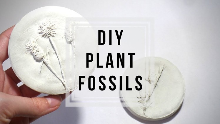 DIY Plant Fossils ???? Plaster Flowers | How to Cast Flowers. Plants | Craft Ideas by Fluffy Hedgehog
