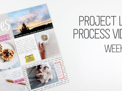 Project Life Process. Week 13. SHOW AND TELL Kit