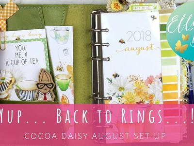 Yup. Back to Rings! August Set up with Cocoa Daisy.