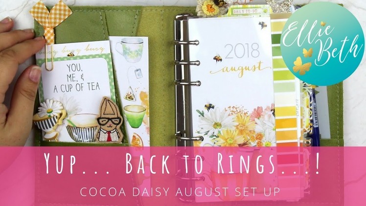 Yup. Back to Rings! August Set up with Cocoa Daisy.