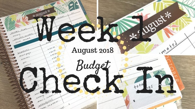 Week 1 Check In | August 2018 Budget | Erin Condren Deluxe Monthly Planner |
