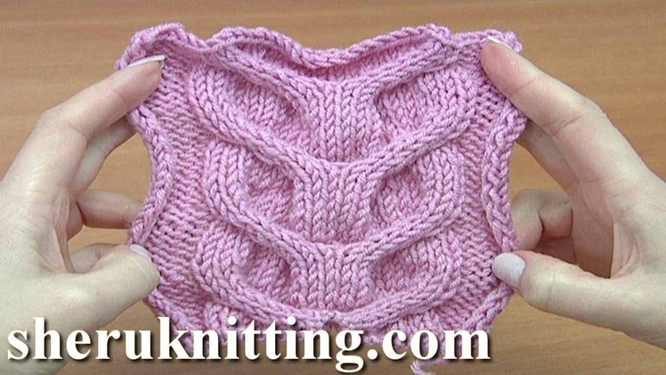 Knitted  Horseshoe Cable Stitch Tutorial 37