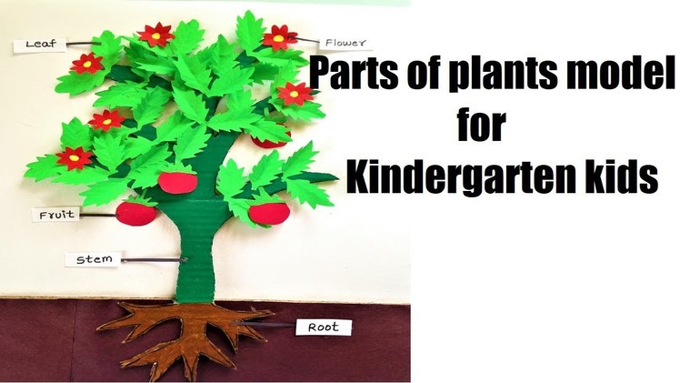 Parts of plants model for kindergarten kids | diy